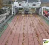 Ro-Ro gemisi satılık