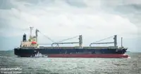 Yığın taşıyıcı satılık
