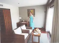 Kruvaziyer gemisi satılık