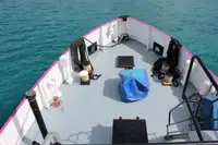 General Cargo/Multi-purpose satılık