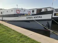 Yığın taşıyıcı satılık