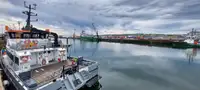 Katamaran satılık