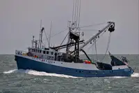 Çift ağlı trol satılık