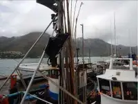 Trol gemisi satılık