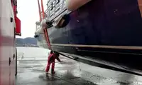 İş gemileri satılık