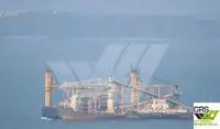 Yığın taşıyıcı satılık