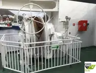 Ro-Ro gemisi satılık