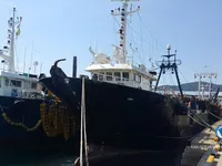 Trol gemisi satılık
