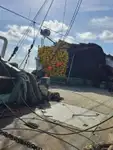 Çift ağlı trol satılık