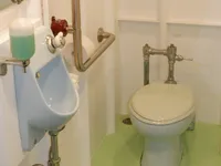 RoPax gemisi satılık