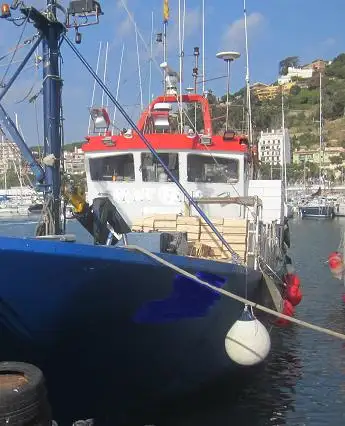 Trol gemisi satılık