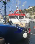 Trol gemisi satılık