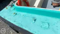 Kruvaziyer gemisi satılık