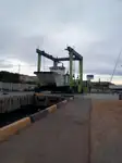 Katamaran satılık