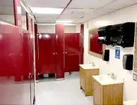Yolcu gemisi satılık