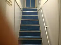 Kruvaziyer gemisi satılık