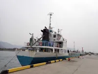 General Cargo/Multi-purpose satılık