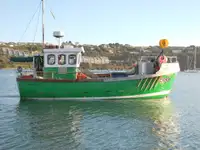 Yolcu gemisi satılık