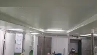 Trol gemisi satılık