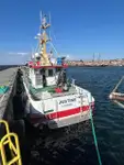 Devriye botu satılık