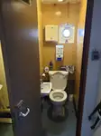Kruvaziyer gemisi satılık