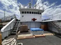 Trol gemisi satılık