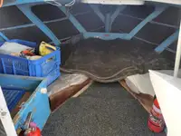 Trol gemisi satılık