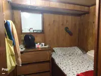 Trol gemisi satılık