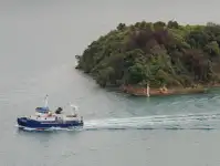Katamaran satılık