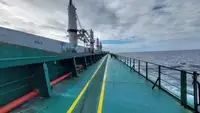Yığın taşıyıcı satılık