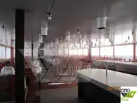 Kruvaziyer gemisi satılık