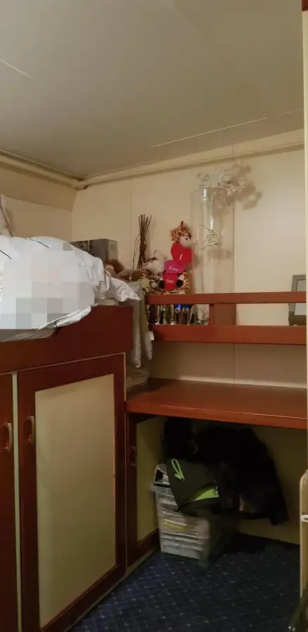 Devriye botu satılık