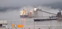 Yığın taşıyıcı satılık