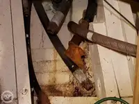 Feribot satılık