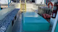Kruvaziyer gemisi satılık