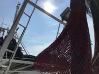 Trol gemisi satılık