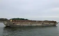 Mavna satılık