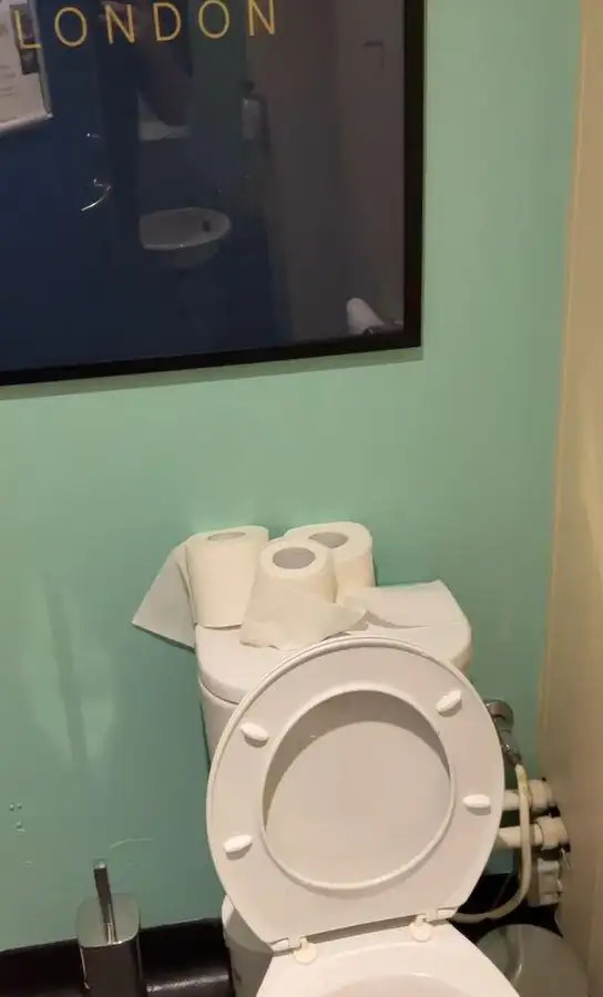Kruvaziyer feribotu satılık