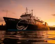 Araştırma gemisi satılık