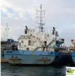Çıkarma Gemisi, Tank satılık