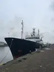 Araştırma gemisi satılık