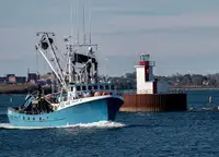 Purse seiner satılık