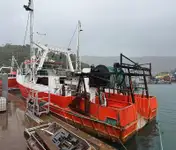 Trol gemisi satılık
