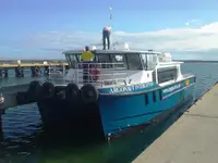 Katamaran satılık