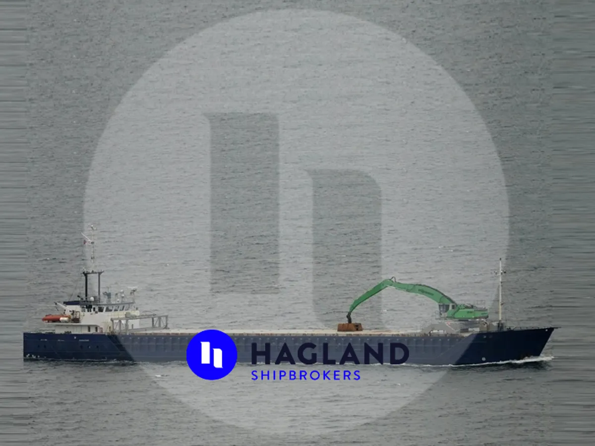 General Cargo/Multi-purpose satılık