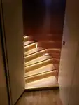Kruvaziyer gemisi satılık