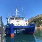 Katamaran satılık