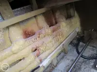 Trol gemisi satılık