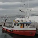Çalışma tekneleri satılık