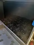Kruvaziyer gemisi satılık